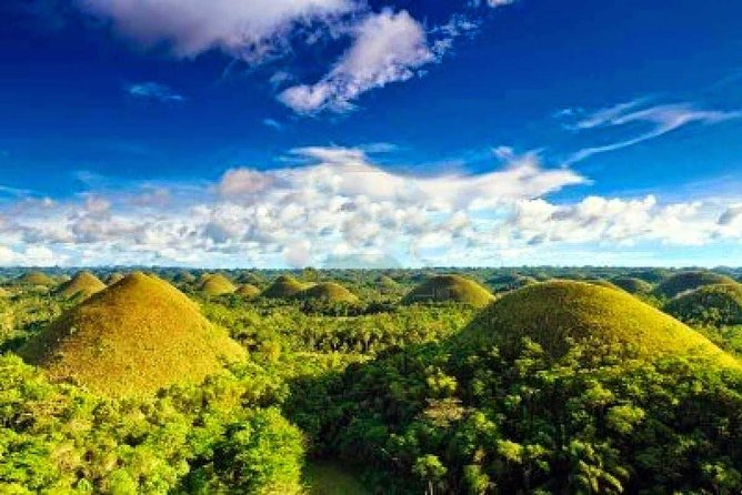 Bohol Countryside Day Tour From Cebu City | Lunch at Loboc River Cruise - Tarsier Conservation Area: tiny primates and a gentler kind of tourism