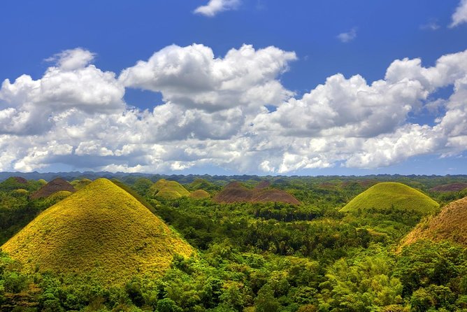Bohol Countryside Day Tour From Cebu City | Lunch at Loboc River Cruise - Loboc River Cruise lunch: the day’s best reset