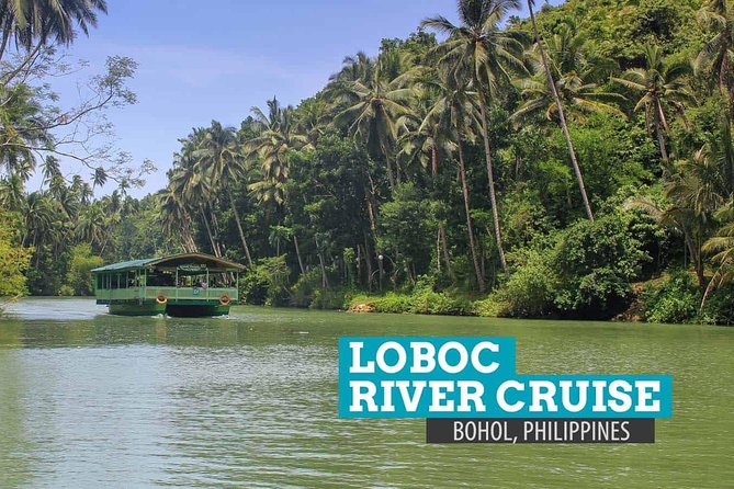 Bohol Countryside Day Tour from Cebu City or Mactan - Best Seller - Stop 5: Bohol Tarsier Conservation Area—small animals, big photo pressure