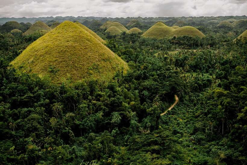 Bohol Countryside Private Tour From Cebu City | Private Tour - Key Highlights You’ll Feel Immediately