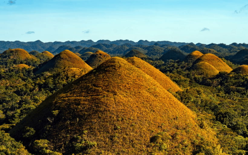 Bohol Day Tour From Cebu City or Mactan (Private Tour) - Ferry Day from Cebu to Bohol: Included Tickets, Real-Time Comfort