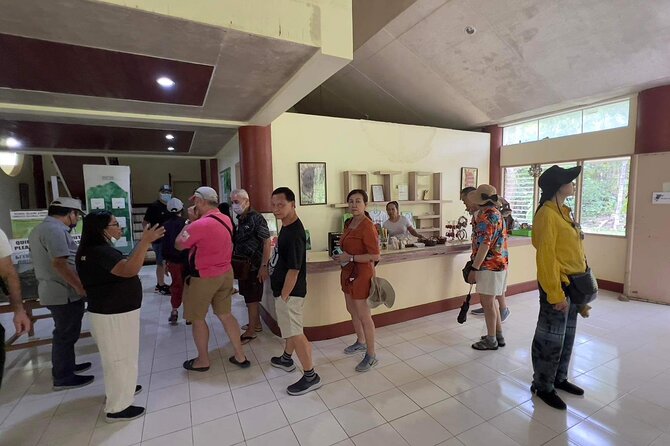 Bohol Day Tour with Round-Trip Transfers from Cebu - Chocolate Hills Natural Monument: the icon stop, plus the weather reality