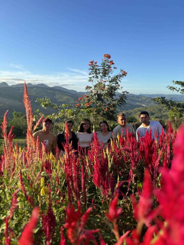 Cebu: City Highlights with Sirao Flower Garden Visit - Key things to know before you go