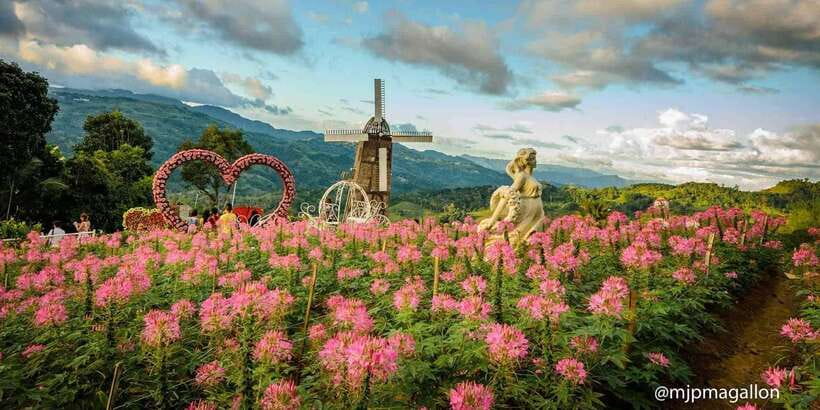 Cebu City: Historical, Local Cuisine & Mountain Guided Tour - Sirao Flower Garden: the photo-heavy finish