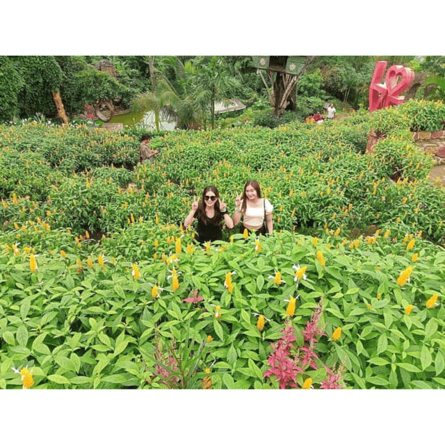 CEBU: City + Mountain Tour - Sirao Flower Garden: Cebu’s Little Amsterdam vibe and photo time