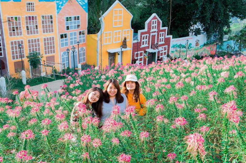 Cebu City Tour (Private Tour) - Hilltop Cool-Down: Sirao Garden for Views and Breathing Room