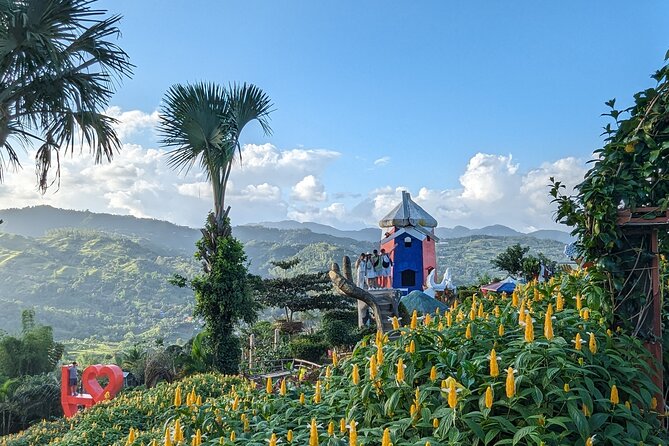 Cebu City with Sirao Garden Half Day Tour - How to prepare so the day feels smooth (not stressful)