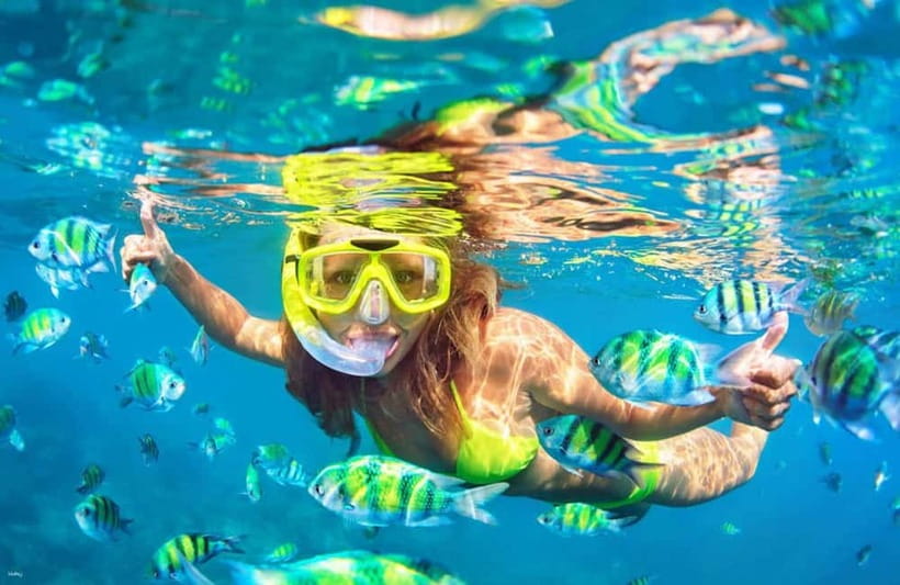 Cebu: Island Hopping 3 Islands + San Vicente Fish + Lunch - San Vicente Fish Sanctuary: a calm warm-up for your snorkel