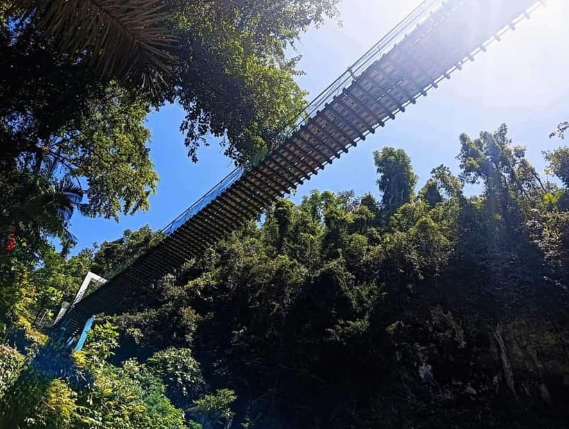 Cebu: Mantayupan Falls, Hermit's Cove & Bojo River Eco Tour - Should you book Mantayupan Falls, Hermit’s Cove & Bojo River?