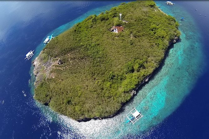 Cebu Moalboal Beach, Sardine Run, Sea Turtle Viewing + Canyoneering Tour - Snorkeling With Sea Turtles and the Sardine Run Moment
