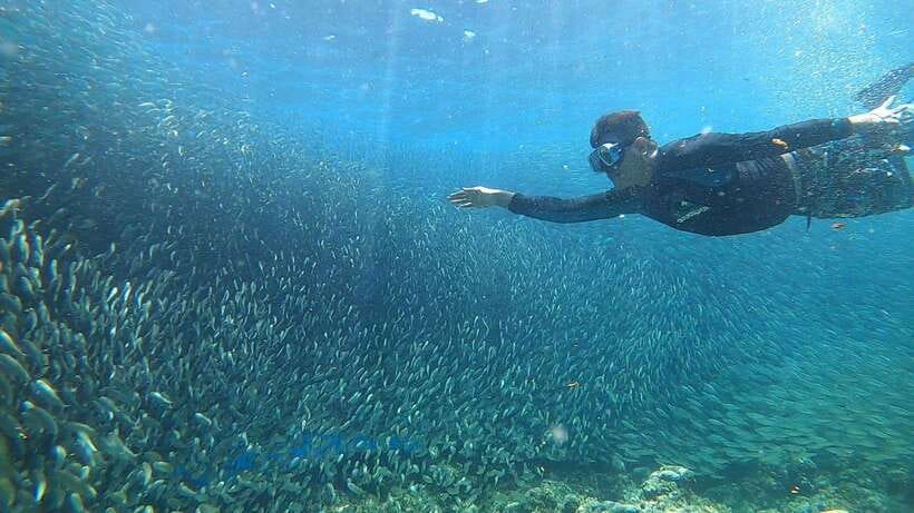 Cebu: Moalboal Island Hopping and Mantayupan Falls Day Trip - Lunch, Coffee, and the Pace That Keeps You From Melting