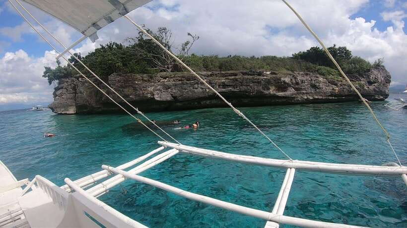 Cebu: Moalboal Island Hopping & Kawasan Falls Adventure - Turtle encounters: how to enjoy them without turning it into a circus