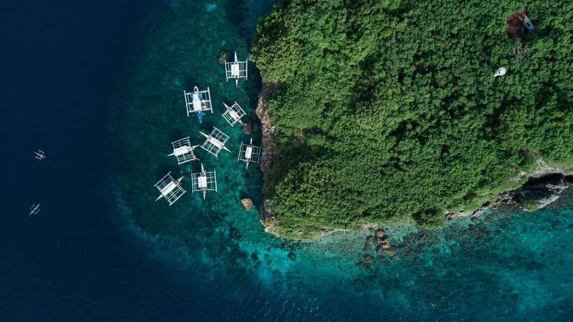 Cebu: Moalboal Sardines and Turtles Snorkeling Tour - Private Tour Comfort: Pickup, Drop-off, and an English-Speaking Guide