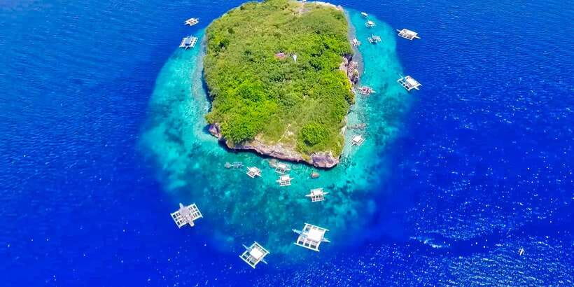 Cebu: Moalboal Sardines and Turtles Snorkeling Tour - Safety Notes You Shouldn’t Skip: Who This Tour Isn’t For