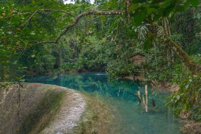 Cebu: Moalboal Sardines & Turtle Snorkeling and Canyoneering - Safety and weather: the one thing you can’t control