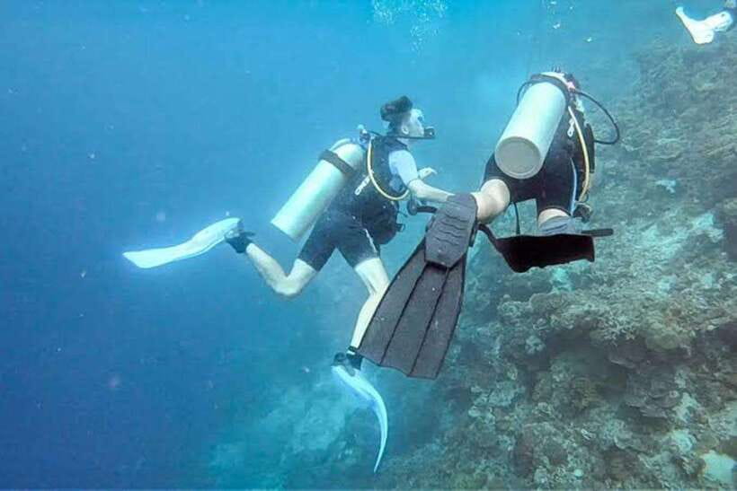 Cebu: Moalboal Scuba Diving, Sardines Run & Pescador Snorkel - Pescador Island snorkeling: reef time, caves, and wildlife chances