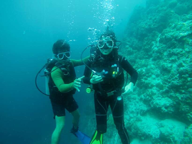 Cebu: Moalboal Scuba Diving with Sardines and Turtle Snorkel - Key things I’d zoom in on before you book