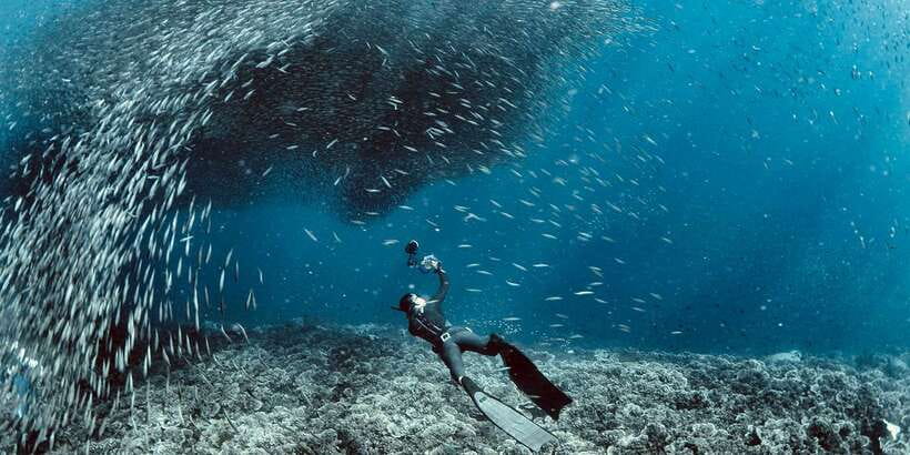 Cebu: Moalboal Scuba Diving with Sardines and Turtle Snorkel - Pescador Island reef time: coral damage can change what you see