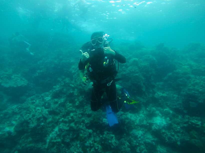 Cebu: Moalboal Scuba Diving with Sardines and Turtle Snorkel - Price and value check: does $115 cover what matters?