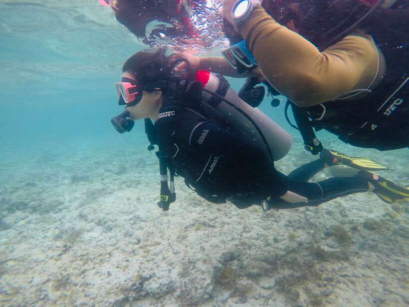Cebu: Moalboal Scuba Diving with Sardines and Turtle Snorkel - Should you book this Moalboal day tour?