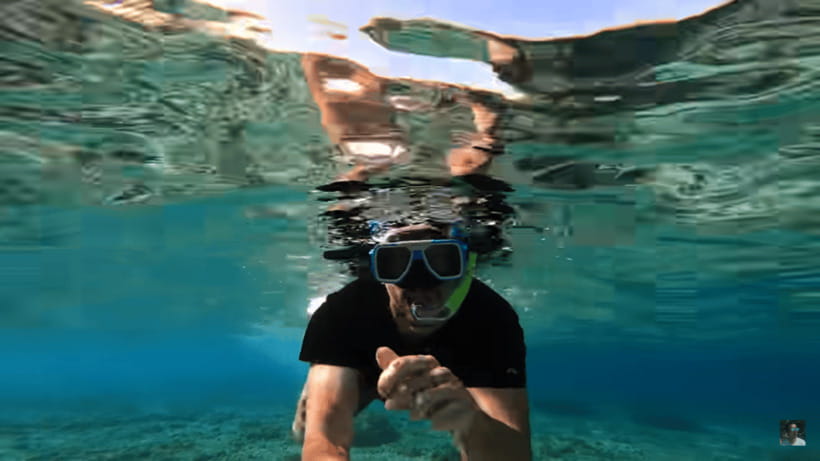 Cebu: Oslob Whale Shark and Moalboal Snorkeling Tour - Responsible tourism rules: why they matter in real life