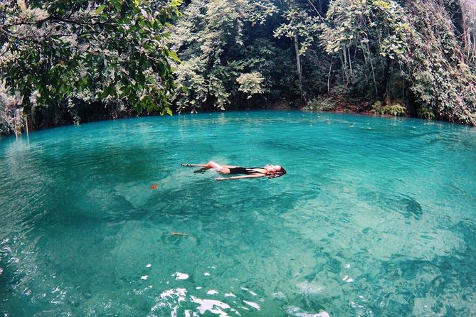 Cebu: Oslob Whale Shark Swimming and Kawasan Falls Canyoneering - Guides and Small Moments That Make the Day