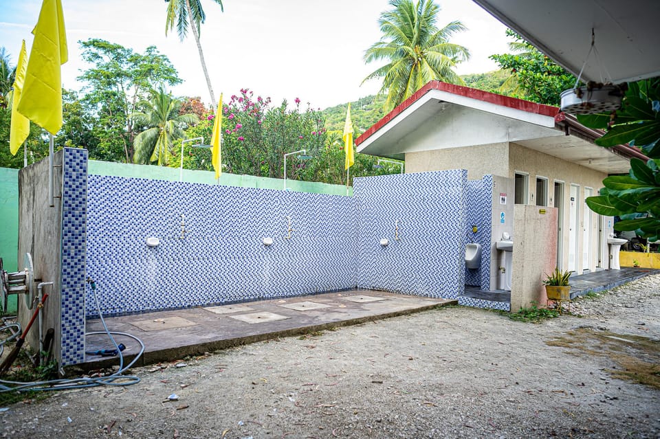 Cebu: Oslob Whale Sharks, Moalboal Sardine Run & Turtles - Price and Value: Is $113 Worth It?