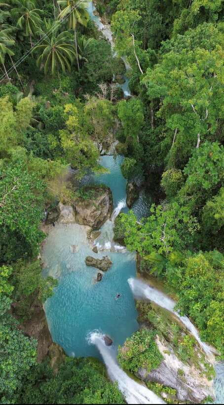 Cebu Oslob Whaleshark, Moalboal Sardines Run&Inambakan Falls - Key highlights you’ll actually feel