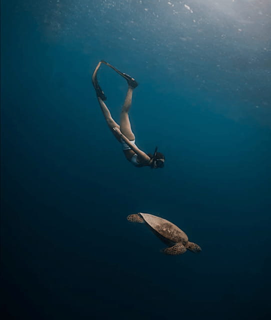 Cebu Oslob Whaleshark, Moalboal Sardines Run&Inambakan Falls - What to bring so you feel good all day