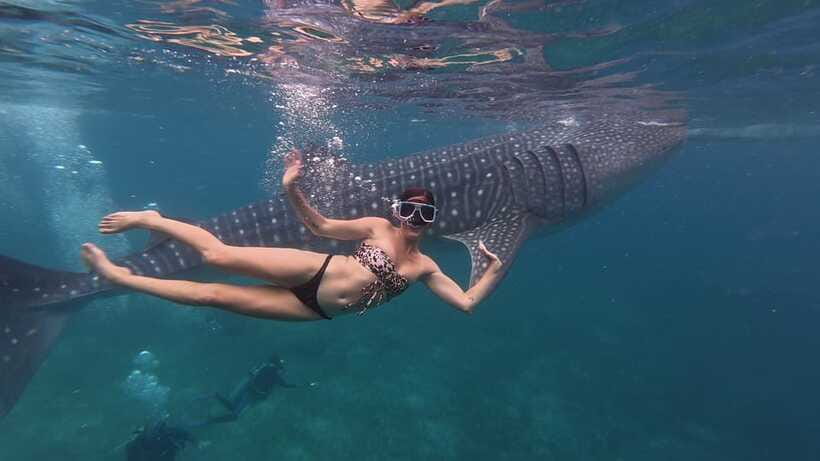 Cebu Oslob Whaleshark, Moalboal Sardines Run&Inambakan Falls - Who should book this itinerary—and who should pause