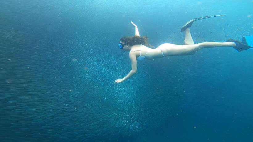 Cebu: Oslob Whaleshark & Sardines Run Snorkeling Day Tour - Price and value: what you get for $108 per person