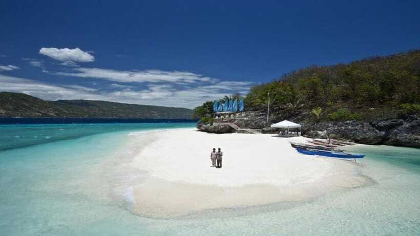Cebu Oslob Whaleshark, Tumalog Falls&Sumilon Island(Private) - Carcar Lechon (Optional): A Cebu Food Detour That’s Easy to Add