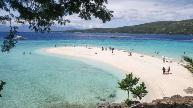Cebu Oslob Whaleshark, Tumalog Falls&Sumilon Island(Private) - What the Private Format Really Changes for You