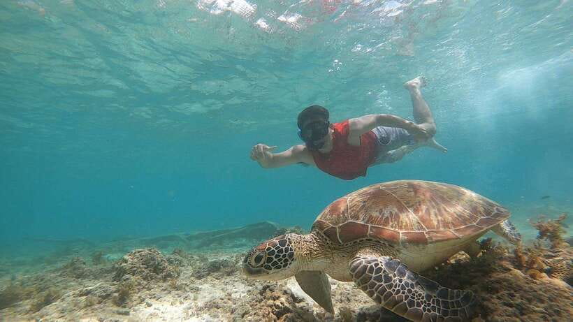 Cebu: Osmeña Peak hike and Sardines Run Snorkel adventure - Should you book Osmeña Peak and Sardines Run?