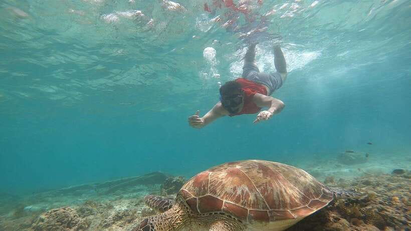 Cebu: Pescador Island, Sardines run and Kawasan Canyoneering - The Sardines Run Moment: Why It’s a Big Deal Here