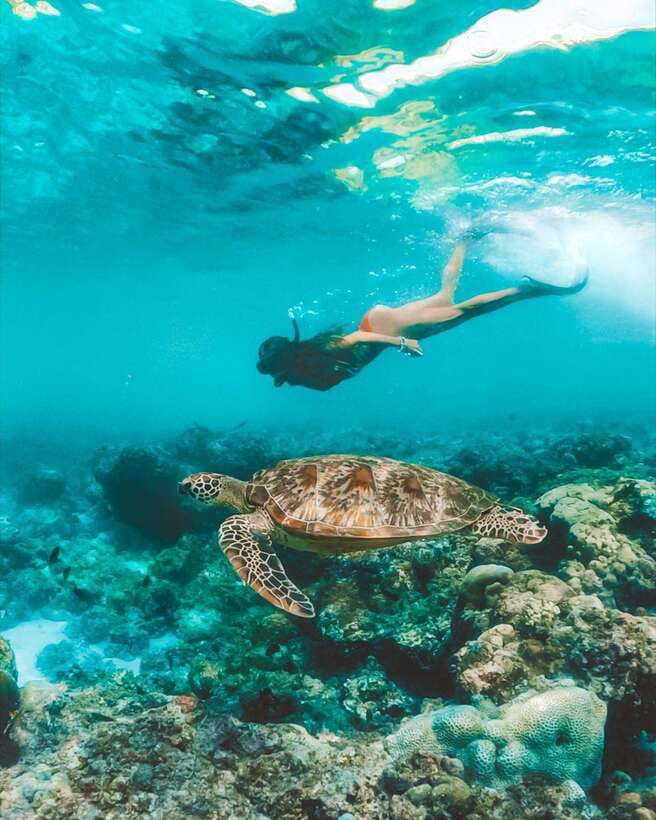 Cebu: Pescador Island, Sardines run and Kawasan Canyoneering - Kawasan Canyoneering: Jumps, Slides, and Turquoise Pools