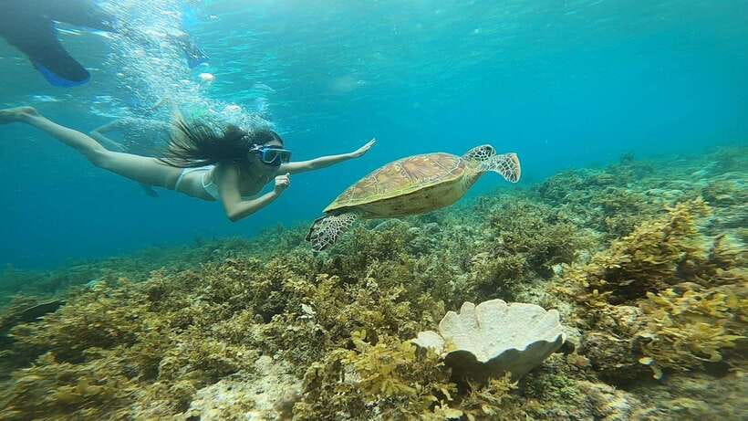Cebu: Pescador Island, Sardines run and Kawasan Canyoneering - The Active Side: Safety, Fit, and Energy Level