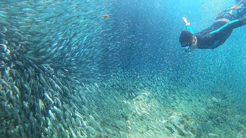 Cebu: Pescador Island, Sardines run and Kawasan Canyoneering - Lunch Break: The 30-Minute Reset