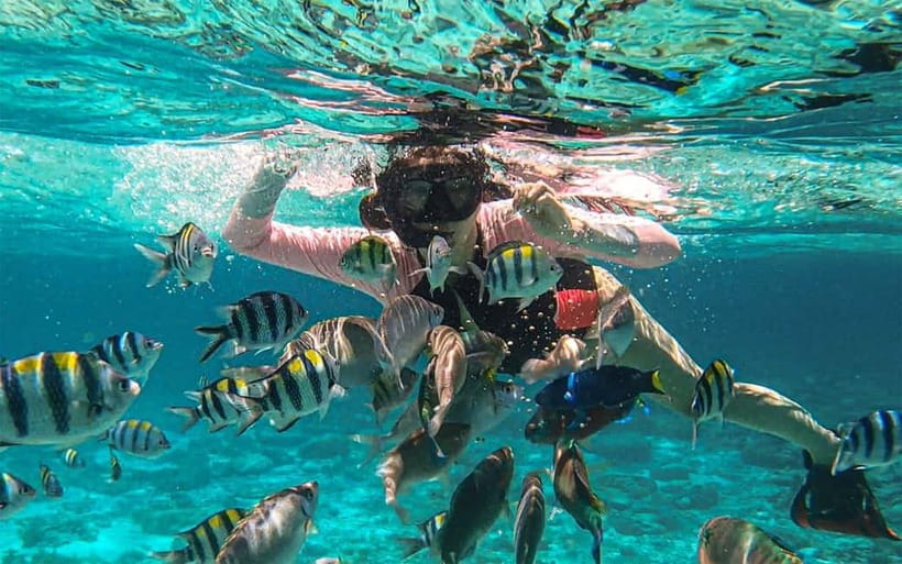 Cebu: Private Mactan Island Hopping Tour with Lunch - Key Things You’ll Notice on This Tour