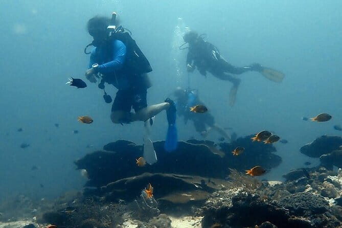 Cebu Private Tour 3 Islands Hopping Gilutungan Caohagan Nalusuan - Price and value: $192.99 per person, and what you’re really paying for