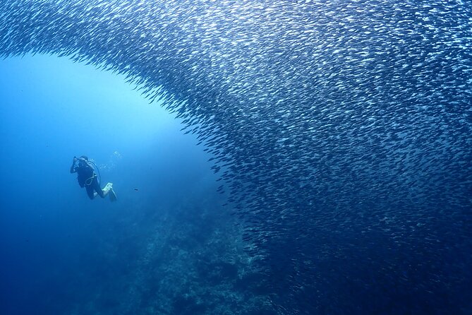 Cebu: Scuba Diving Experience beach entry in Mactan - What to Bring: Small Prep Tips That Make Your Life Easier