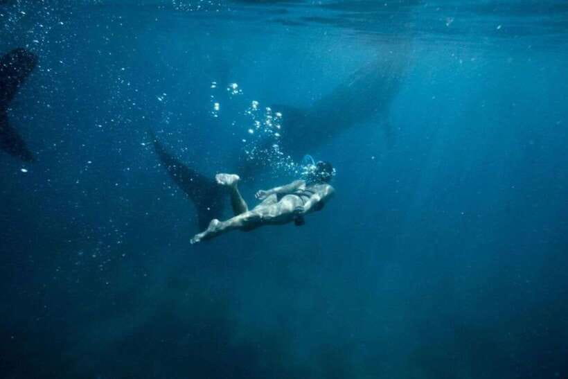 Cebu: Sumilon Sand Bar, Whale Sharks & Sardines Snorkeling - Sumilon Sand Bar: where the shifting sand changes everything