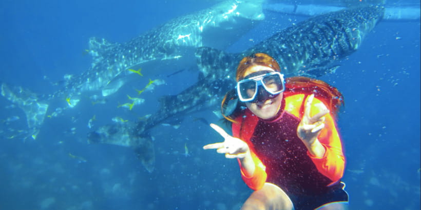 Cebu: Sumilon Sand Bar, Whale Sharks & Sardines Snorkeling - Price and Value: what $126 really includes
