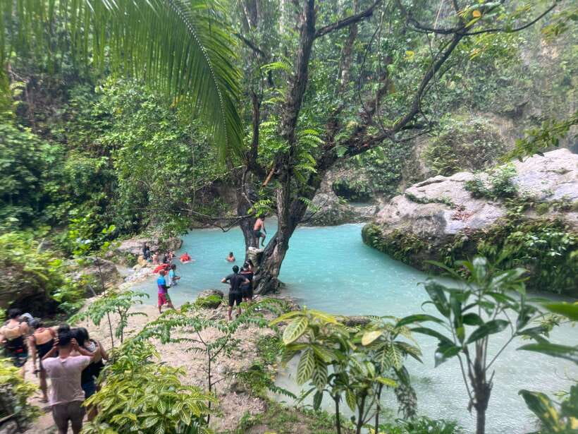 Cebu: Whale Shark, Inambakan Falls & Moalboal Sardine Tour - Key Things You’ll Care About on This Cebu Tour