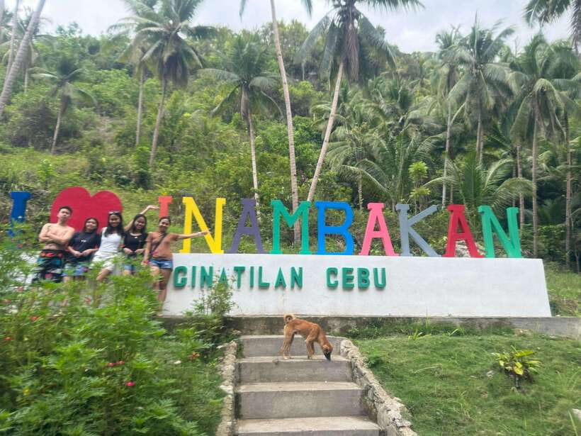 Cebu: Whale Shark, Inambakan Falls & Moalboal Sardine Tour - The Big Picture: A Water-Lover’s Day in Cebu