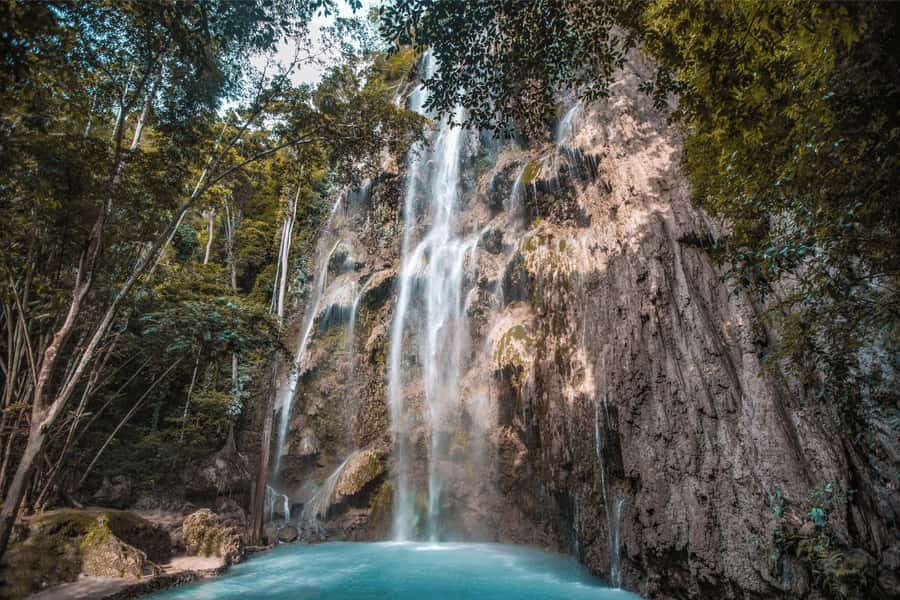 Cebu: Whale Shark, Monkey Sanctuary, & Moalboal Snorkel Tour - Why This One-Day Cebu Combo Works