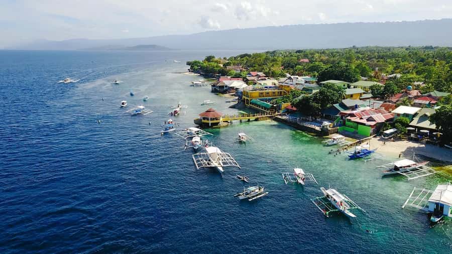 Cebu: Whale Shark, Monkey Sanctuary, & Moalboal Snorkel Tour - Food Breaks and Little Local Stops