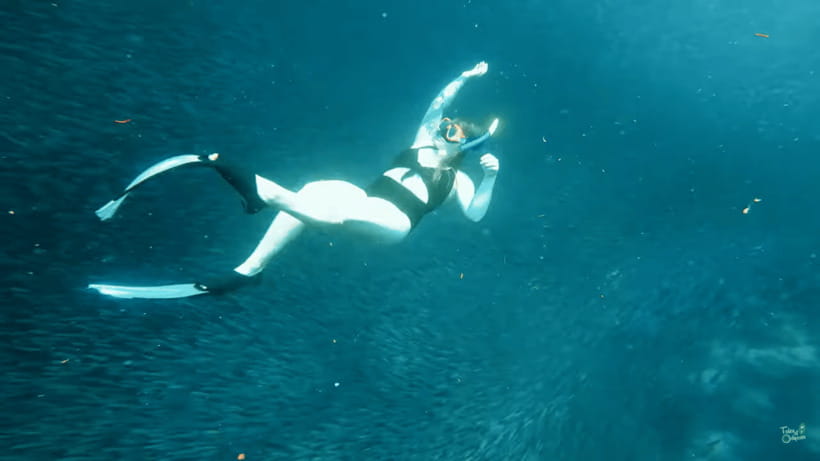 Cebu: Whale Shark Oslob and Moalboal Snorkeling Adventure - Who This Tour Fits Best (and Who Should Skip It)