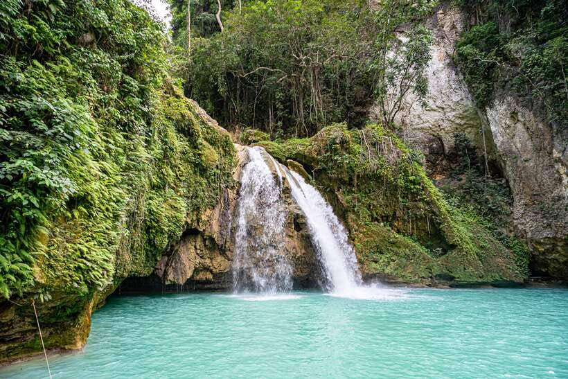 Cebu: Whale Shark Snorkeling & Kawasan Canyoning Tour - The snorkeling hour: what you’ll actually do