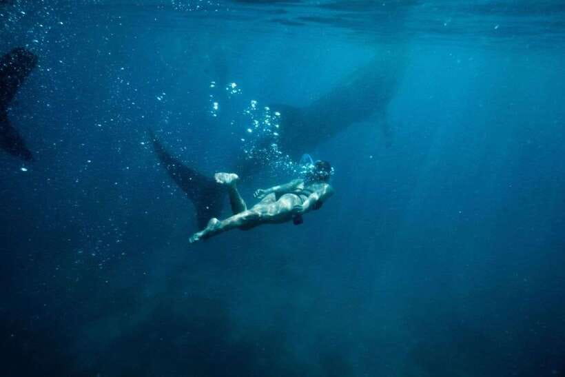 Cebu Whale Shark Swimming & Kawasan Canyoneering Group Tour - Badian canyoneering: where the adventure turns real